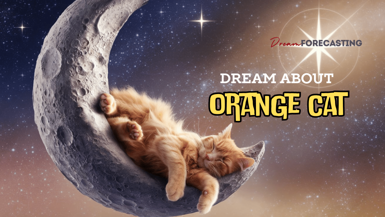 Dream Meaning of Orange Cat