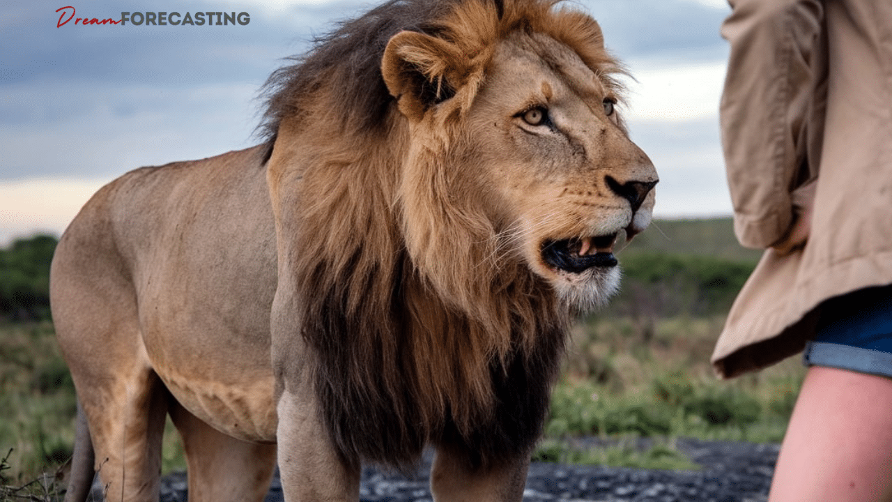What Does It Mean To Dream About A Lion Attack? - Dream Forecasting