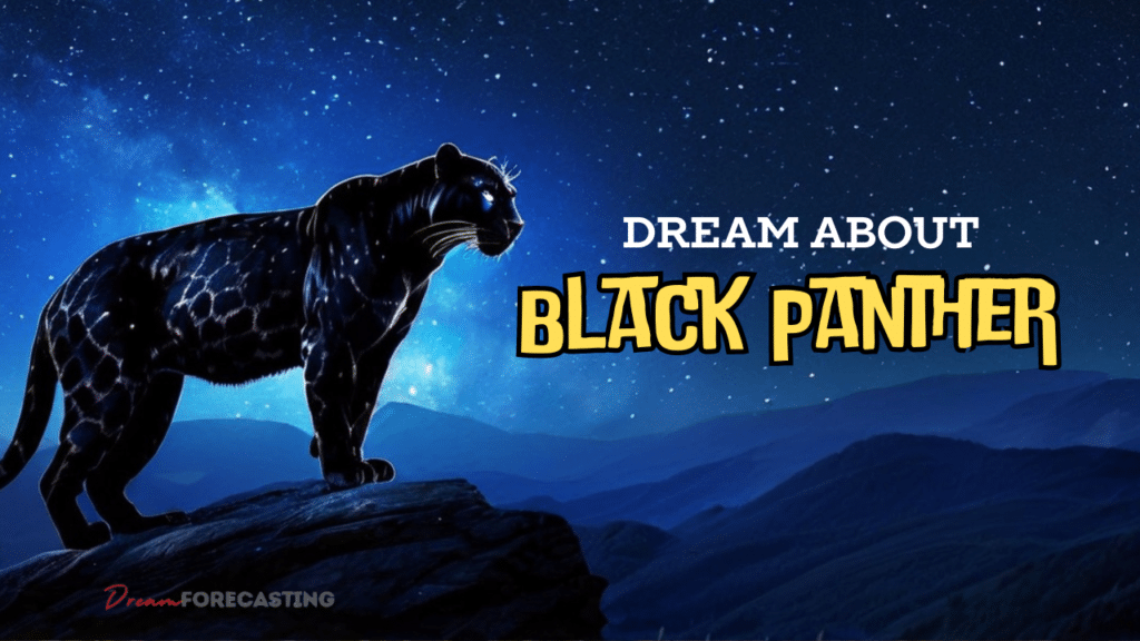 Black Panther Dreams