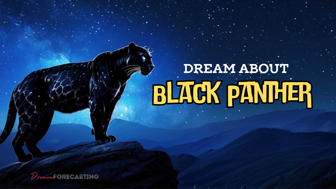 Black Panther Dreams