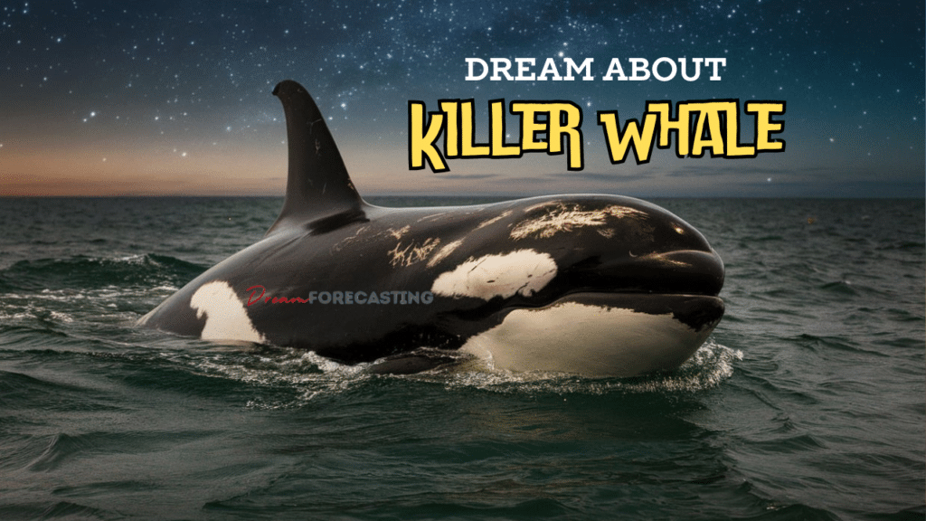 Mysteries of Killer Whale Dreams: Meanings