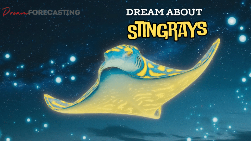 Dream About Stingrays