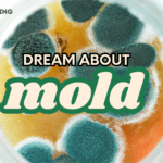 Dream About Mold