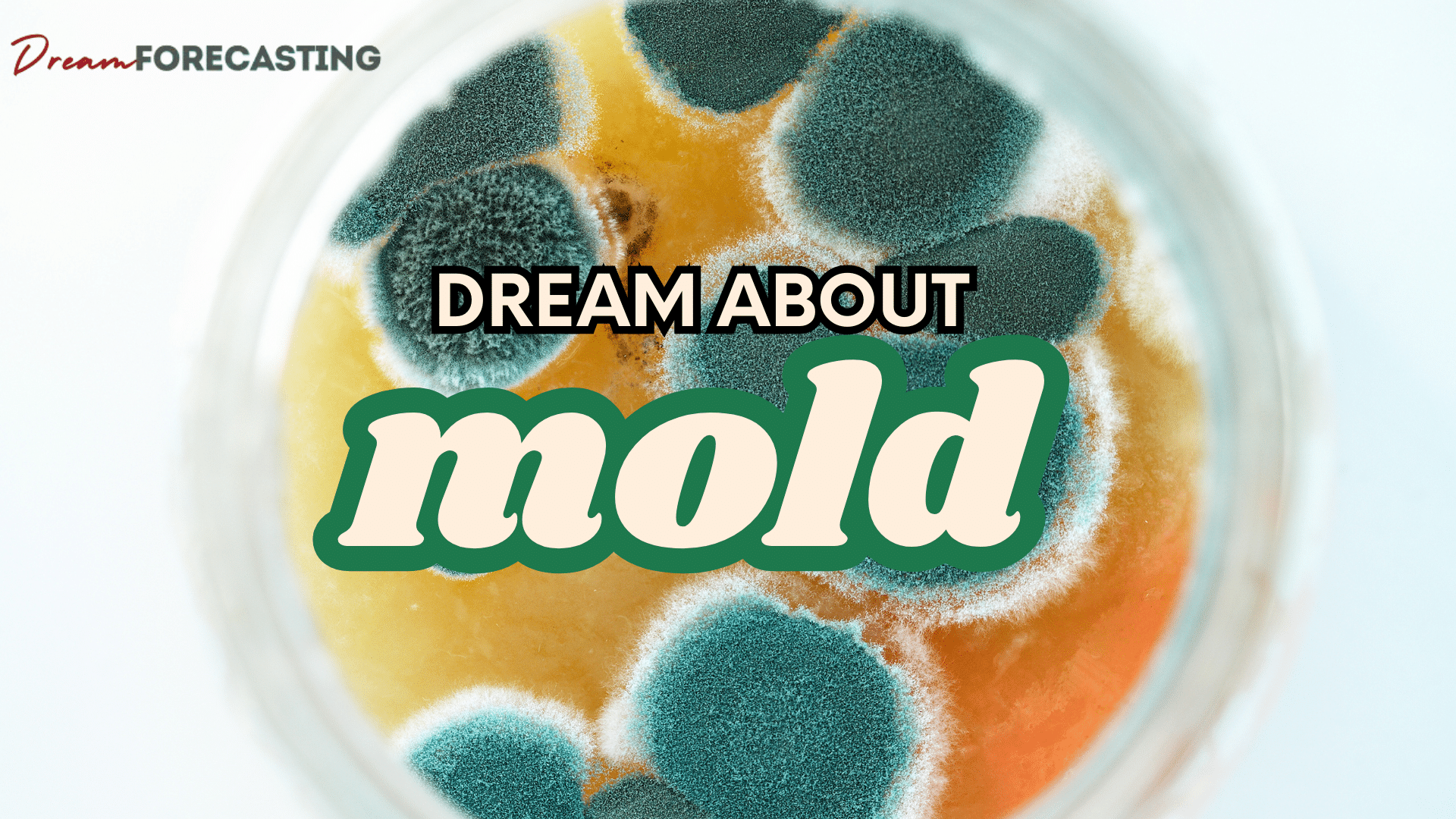 Dream About Mold