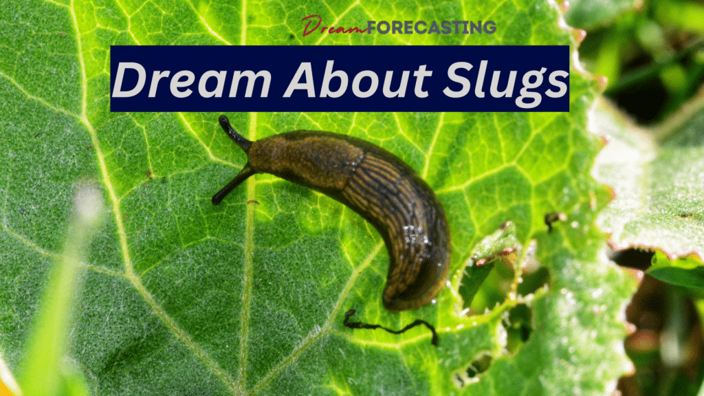 Dreams About Slug