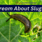 Dreams About Slug